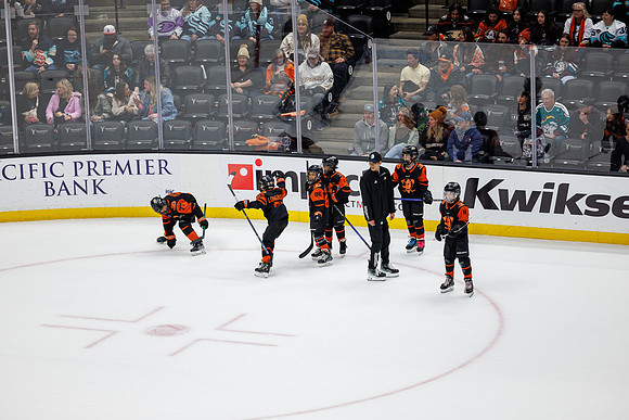 040524_ANAHEIM_DUCKS_0743
