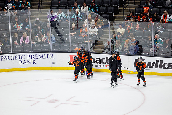 040524_ANAHEIM_DUCKS_0745