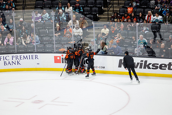 040524_ANAHEIM_DUCKS_0747