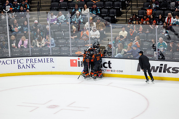 040524_ANAHEIM_DUCKS_0748