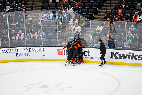 040524_ANAHEIM_DUCKS_0750