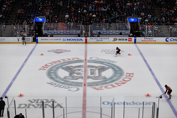 040524_ANAHEIM_DUCKS_1042