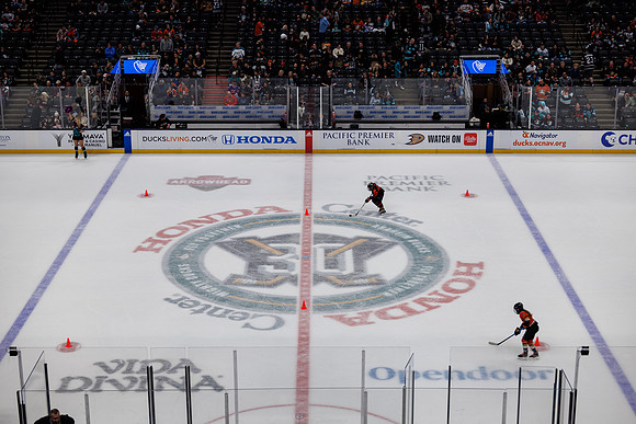 040524_ANAHEIM_DUCKS_1043