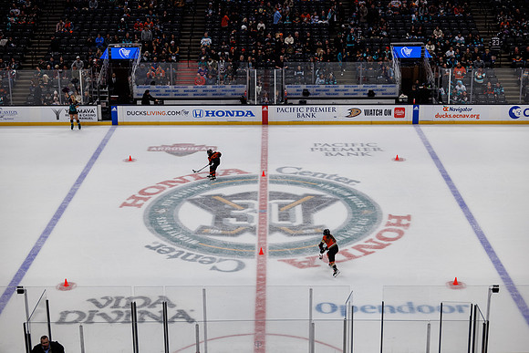 040524_ANAHEIM_DUCKS_1046