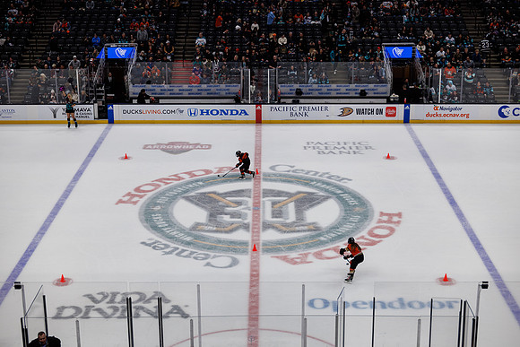 040524_ANAHEIM_DUCKS_1045