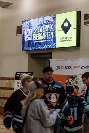 040524_ANAHEIM_DUCKS_1079