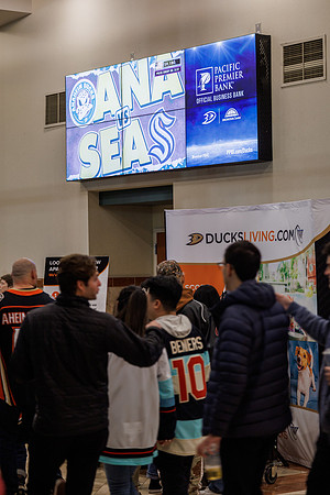 040524_ANAHEIM_DUCKS_1108