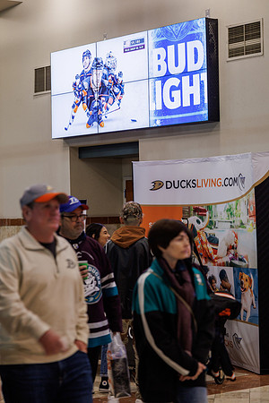 040524_ANAHEIM_DUCKS_1110