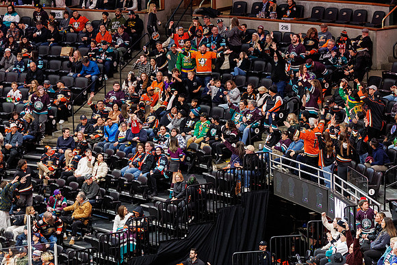 040524_ANAHEIM_DUCKS_1313