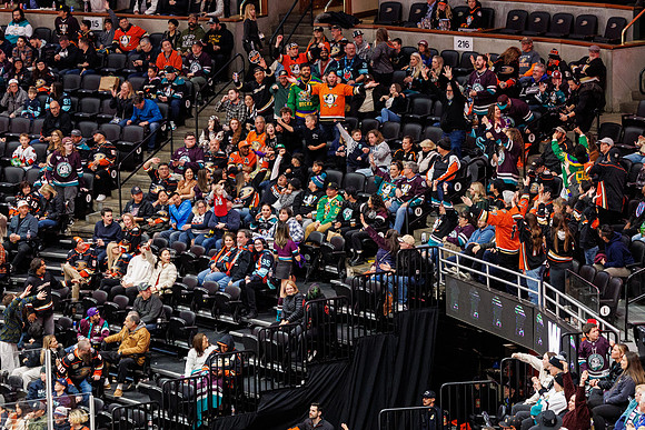 040524_ANAHEIM_DUCKS_1314