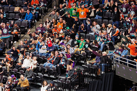 040524_ANAHEIM_DUCKS_1317
