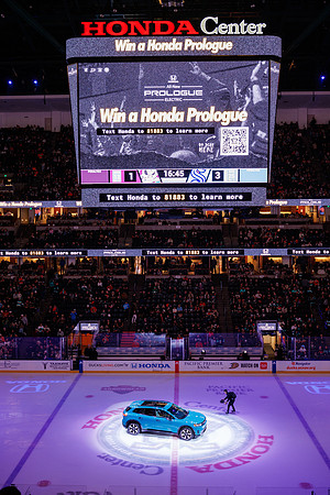 040524_ANAHEIM_DUCKS_1425