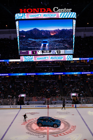 040524_ANAHEIM_DUCKS_1431