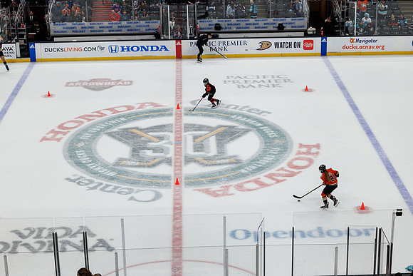 040524_ANAHEIM_DUCKS_0727