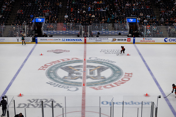 040524_ANAHEIM_DUCKS_1041