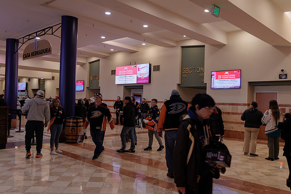 040524_ANAHEIM_DUCKS_1733