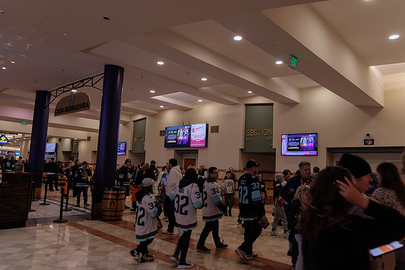 040524_ANAHEIM_DUCKS_1737