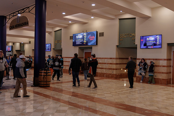040524_ANAHEIM_DUCKS_1738