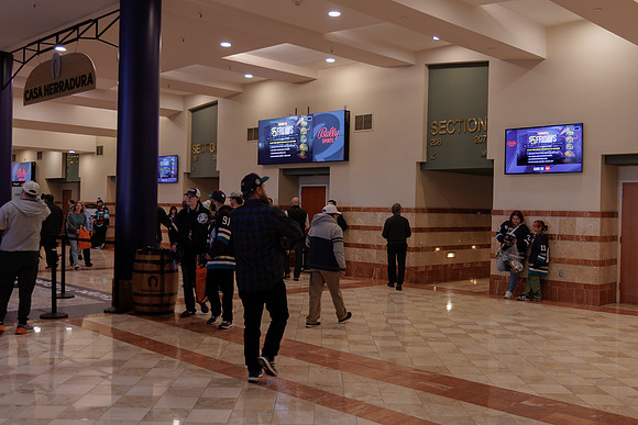 040524_ANAHEIM_DUCKS_1741