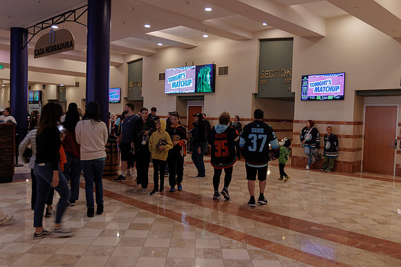 040524_ANAHEIM_DUCKS_1744