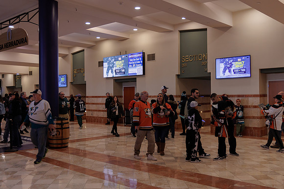 040524_ANAHEIM_DUCKS_1750