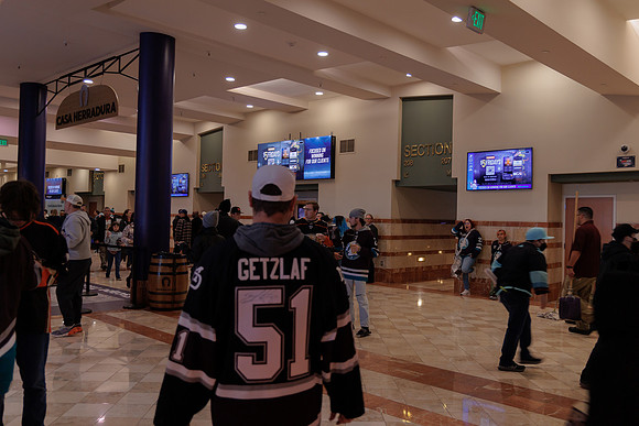 040524_ANAHEIM_DUCKS_1760