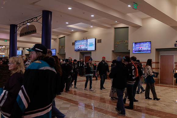 040524_ANAHEIM_DUCKS_1766