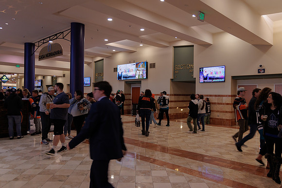 040524_ANAHEIM_DUCKS_1770