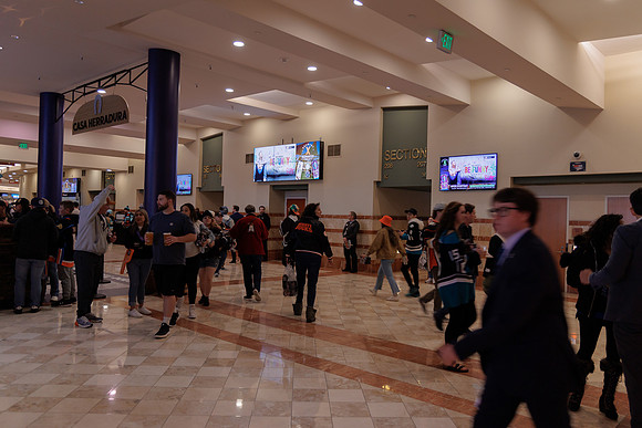 040524_ANAHEIM_DUCKS_1767