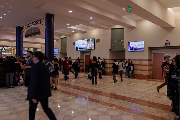 040524_ANAHEIM_DUCKS_1771