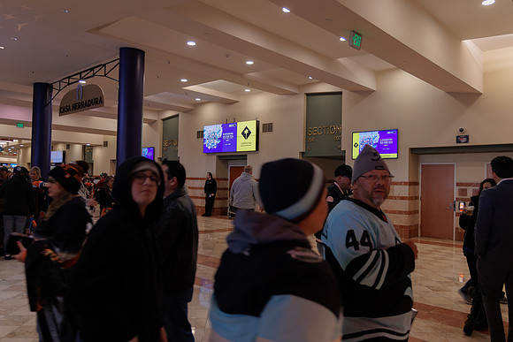 040524_ANAHEIM_DUCKS_1775