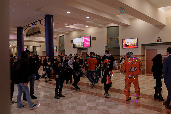 040524_ANAHEIM_DUCKS_1785