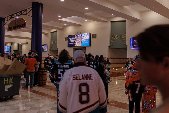 040524_ANAHEIM_DUCKS_1789