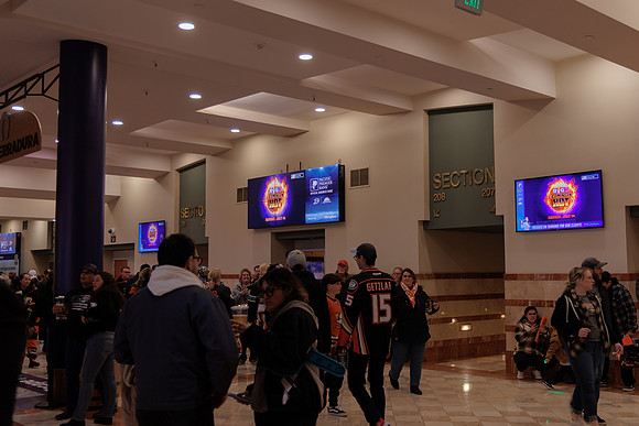 040524_ANAHEIM_DUCKS_1808