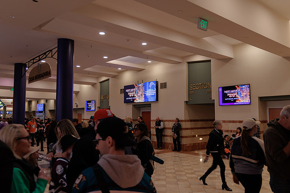 040524_ANAHEIM_DUCKS_1816