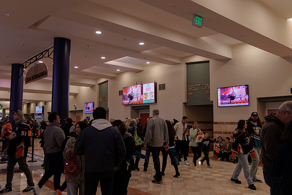 040524_ANAHEIM_DUCKS_1823