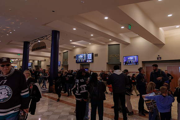040524_ANAHEIM_DUCKS_1845