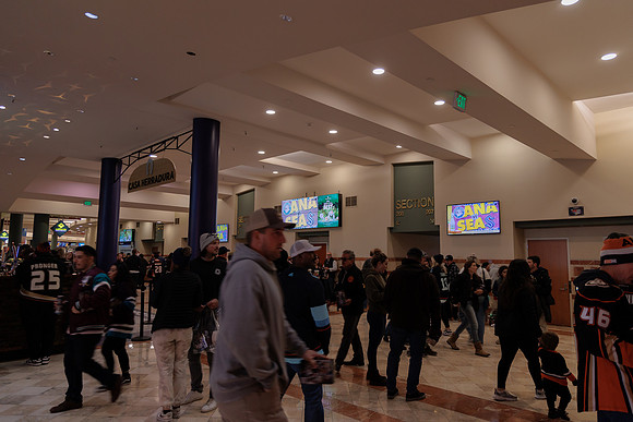 040524_ANAHEIM_DUCKS_1852