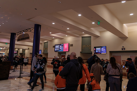 040524_ANAHEIM_DUCKS_1851