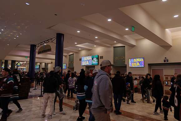 040524_ANAHEIM_DUCKS_1853