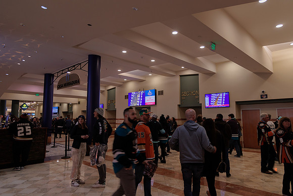 040524_ANAHEIM_DUCKS_1856