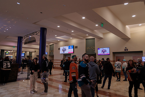040524_ANAHEIM_DUCKS_1857