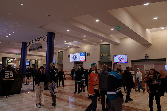 040524_ANAHEIM_DUCKS_1858
