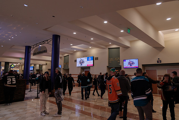 040524_ANAHEIM_DUCKS_1859