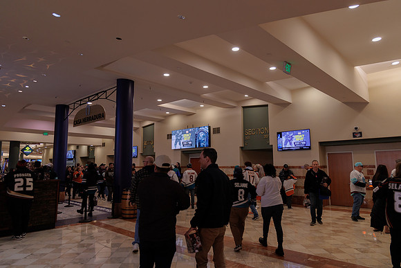 040524_ANAHEIM_DUCKS_1860