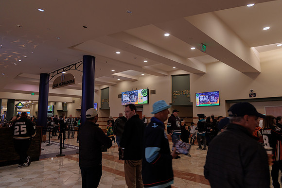 040524_ANAHEIM_DUCKS_1865