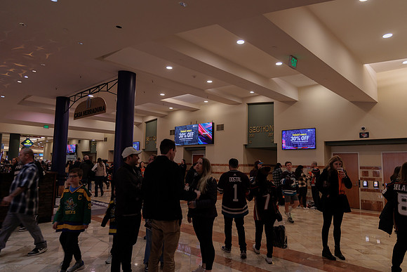 040524_ANAHEIM_DUCKS_1868