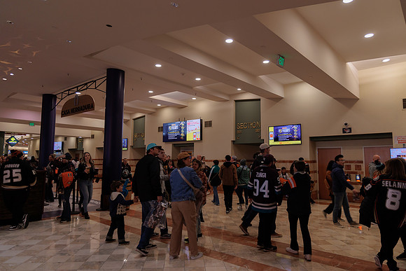 040524_ANAHEIM_DUCKS_1869