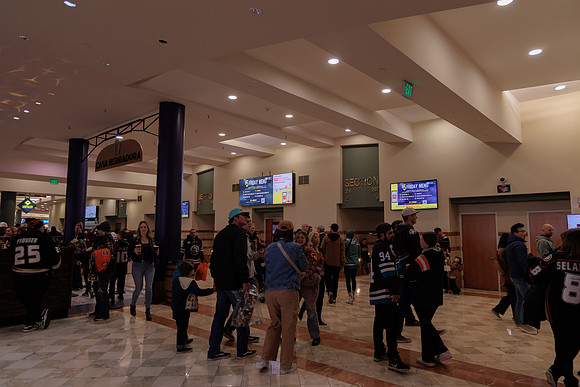 040524_ANAHEIM_DUCKS_1870