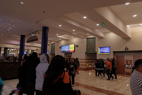 040524_ANAHEIM_DUCKS_1872